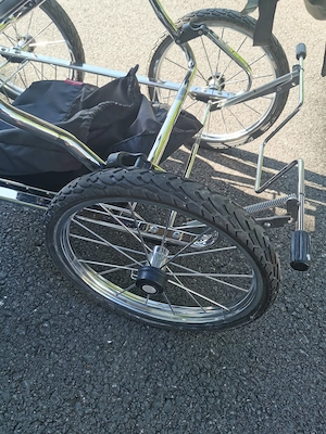 Kinderwagen HESBA  Bild 3