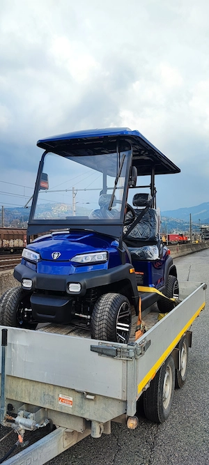 B2B business - Verkauf von Golfcarts mit Strassenzulassung! Bild 3