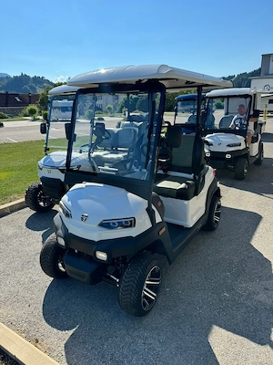 B2B business - Verkauf von Golfcarts mit Strassenzulassung! Bild 4