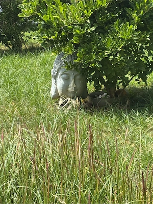 Dekoartikel für Garten Bild 2