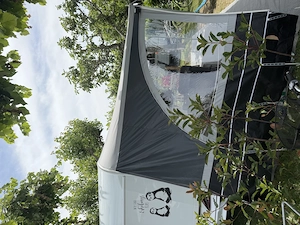 Wohnwagen Sonnenvordach mit Seitenwänden Bild 4