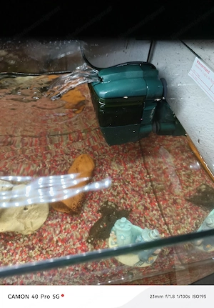  Aquarium  Bild 2