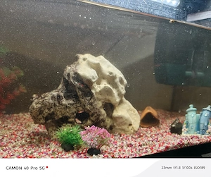 Aquarium  Bild 3
