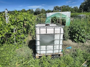 IBC 1000  Tank i Bild 3