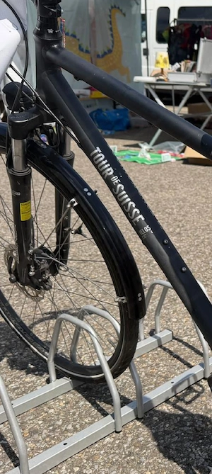 Herrenrad Tour de Suisse Alfine Schaltung und Zahnriemen Bild 6