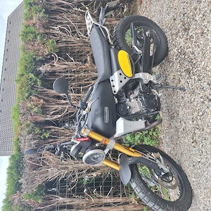 Fantic Caballero Scrambler 500 Bild 2