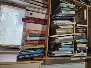 Bücher bunt gemischt Bild 2