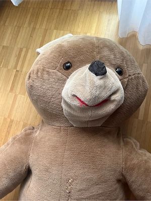 Riesiger Teddybär XXL   super kuschelig