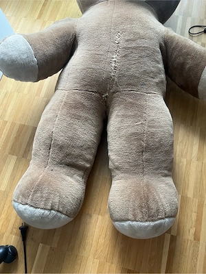 Riesiger Teddybär XXL   super kuschelig Bild 2