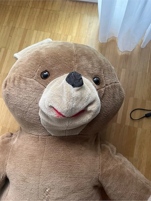 Riesiger Teddybär XXL   super kuschelig Bild 4