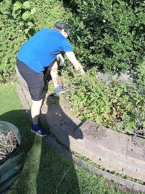 Gartenpflege, Hausmeisterservice, Unterhaltsreinigung, Botengänge & Alltagsunterstützung Bild 5