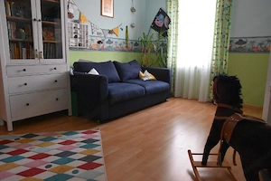 6 Zimmerwohnung Lustenau, Garage, Garten  Bild 2