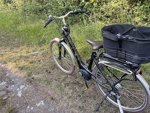 Cube Elly Cruise Damen E-Bike Bild 4