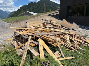 Brennholz zu verschenken Bild 2