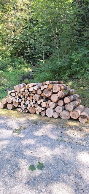 Brennholz zu verkaufen  Bild 2