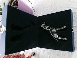 Swarovski Babygiraffe Bild 4