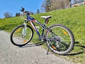 Cygnus Fahrrad 26 Zoll  Bild 4