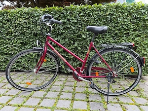 Schauff Cityrad (28 Zoll) Bild 2