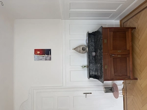 Wohnen & Arbeiten in einer historischen Villa in Nenzing Bild 5
