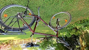 Simplon Herrenbike günstig 