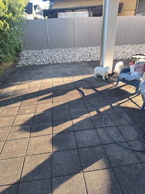 Waschbetonplatten zu verschenken Bild 4
