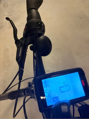 Sehr gut erhaltenes City Ebike Bild 2
