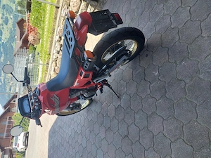 Honda nx 500 terminator Bild 3