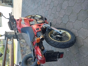 Honda nx 500 terminator Bild 2