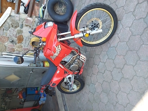 Honda nx 500 terminator Bild 9