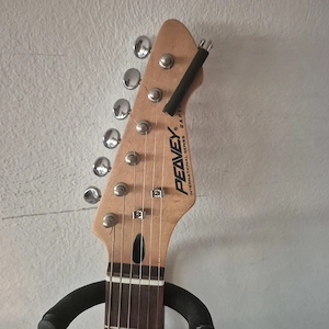 Peavey Raptor E-Gitarre + VOX AD15VT-XL Verstärker + Zubehör Bild 3