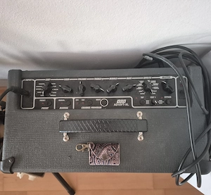 Peavey Raptor E-Gitarre + VOX AD15VT-XL Verstärker + Zubehör Bild 4