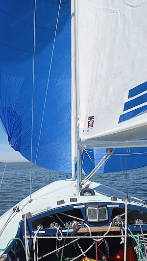 Segelboot "Drachen" AUT203 Bild 6