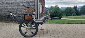 Trainings- und Freizeitgig zu verkaufen Bild 2