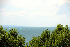 2-Zimmer  Wohnung   in Bregenz-Lochau ,ab 1.8.2026 an Nichtraucher zu vermieten Bild 4