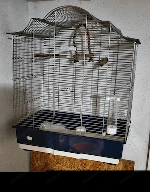 Vogel Käfig  Bild 3