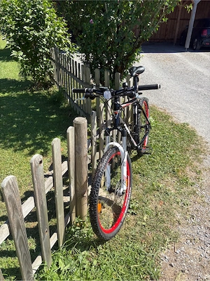 KTM Fahrrad Bild 3