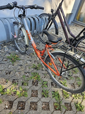 KTM Fahrrad Kinder 24 Zoll Bild 4