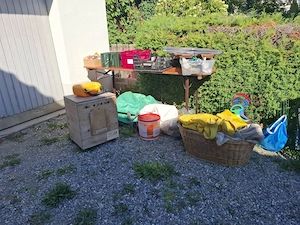 Zu verschenken Bild 4
