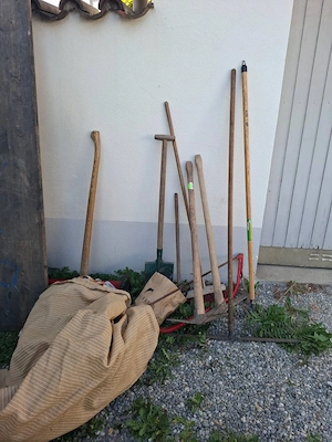 Zu verschenken Bild 3