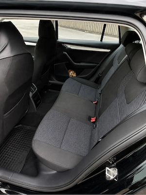Skoda Octavia Allrad Sportpaket Dynamic  TDI 4x4 Kombi  Bild 10