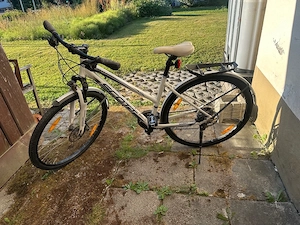 Damenrad Scott Bild 2
