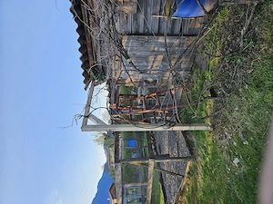 Gartenarbeiten & schwere Hilfe   zuverlässig, flexibel und schnell im Raum Feldkirch Bild 5