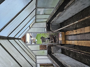 Gartenarbeiten & schwere Hilfe   zuverlässig, flexibel und schnell im Raum Feldkirch Bild 6