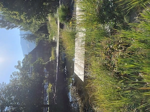 Gartenarbeiten & schwere Hilfe   zuverlässig, flexibel und schnell im Raum Feldkirch Bild 8