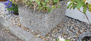 Blumenkübel zu verschenken Bild 2