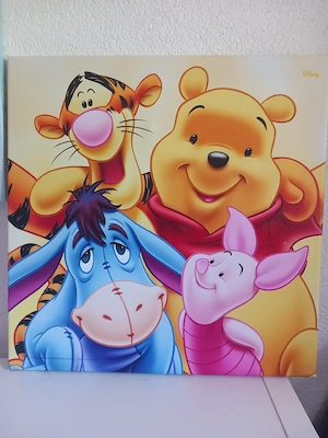 Disney Bild 45x45 cm