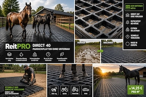 Paddockplatten ohne Unterbau ReitPRO Direct 40 Rasengitter - ideale Paddockgitter kaufen Bild 2