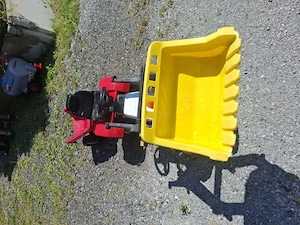 Trettraktor Steyer mit Anhänger Bild 2