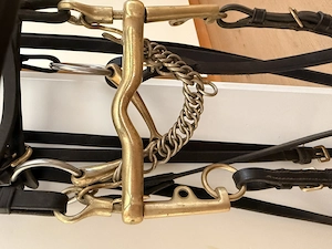 Kieffer Kandarenzaum WB  Bild 5