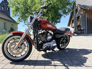 Harley Davidson Sportster XL1200 Bild 5